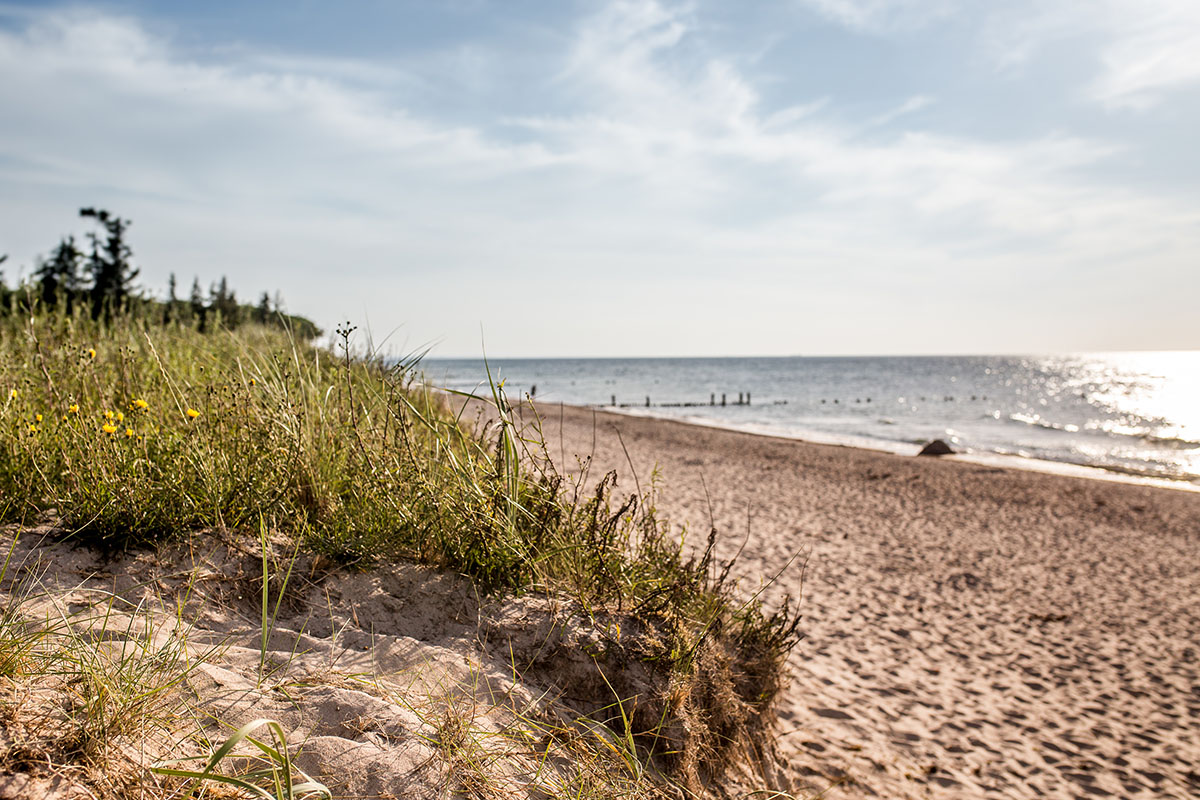 Beach in the Baltic Resort Graal-Müritz