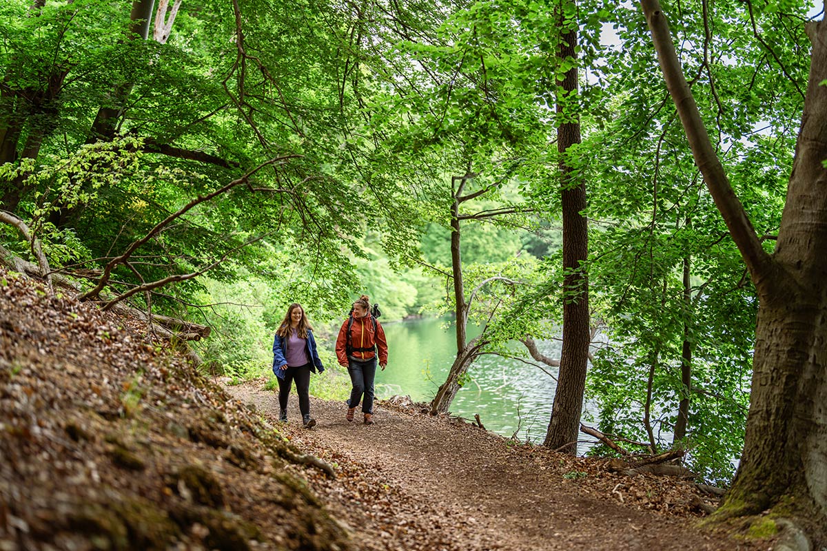 Im-Wald-auf-dem-Naturparkweg-am-Schmalen-Luzin-in-Feldberger-Seenlandschaft-1